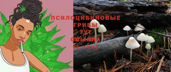 ALPHA-PVP Володарск